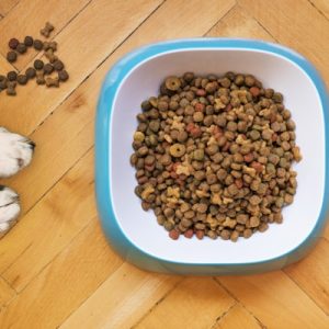 Purina Pro Plan Adult Dog Food